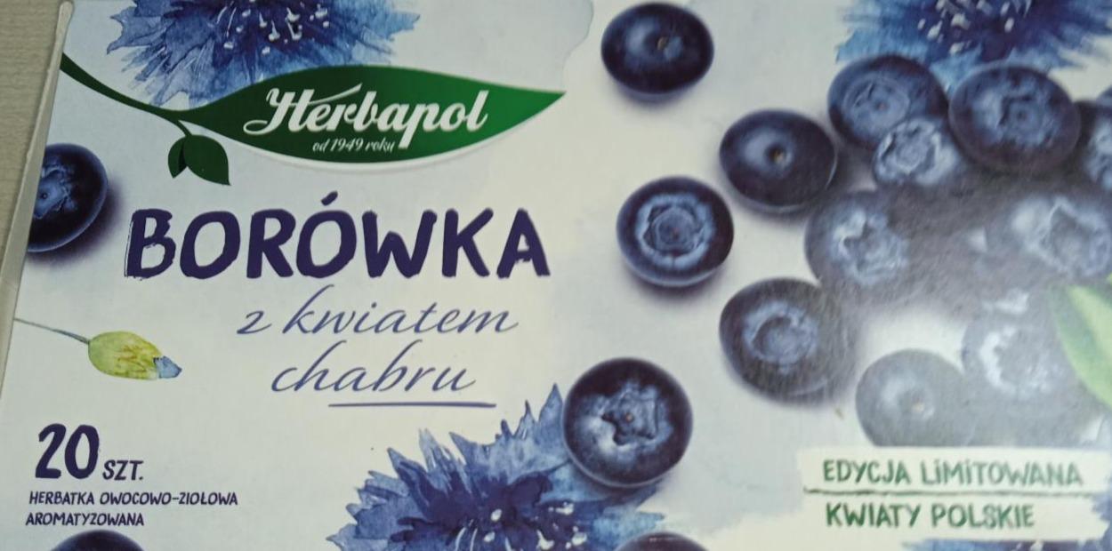 Zdjęcia - Herbapol Kwiaty Polskie Herbatka owocowo-ziołowa borówka z kwiatem chabru 46 g (20 x 2,3 g)