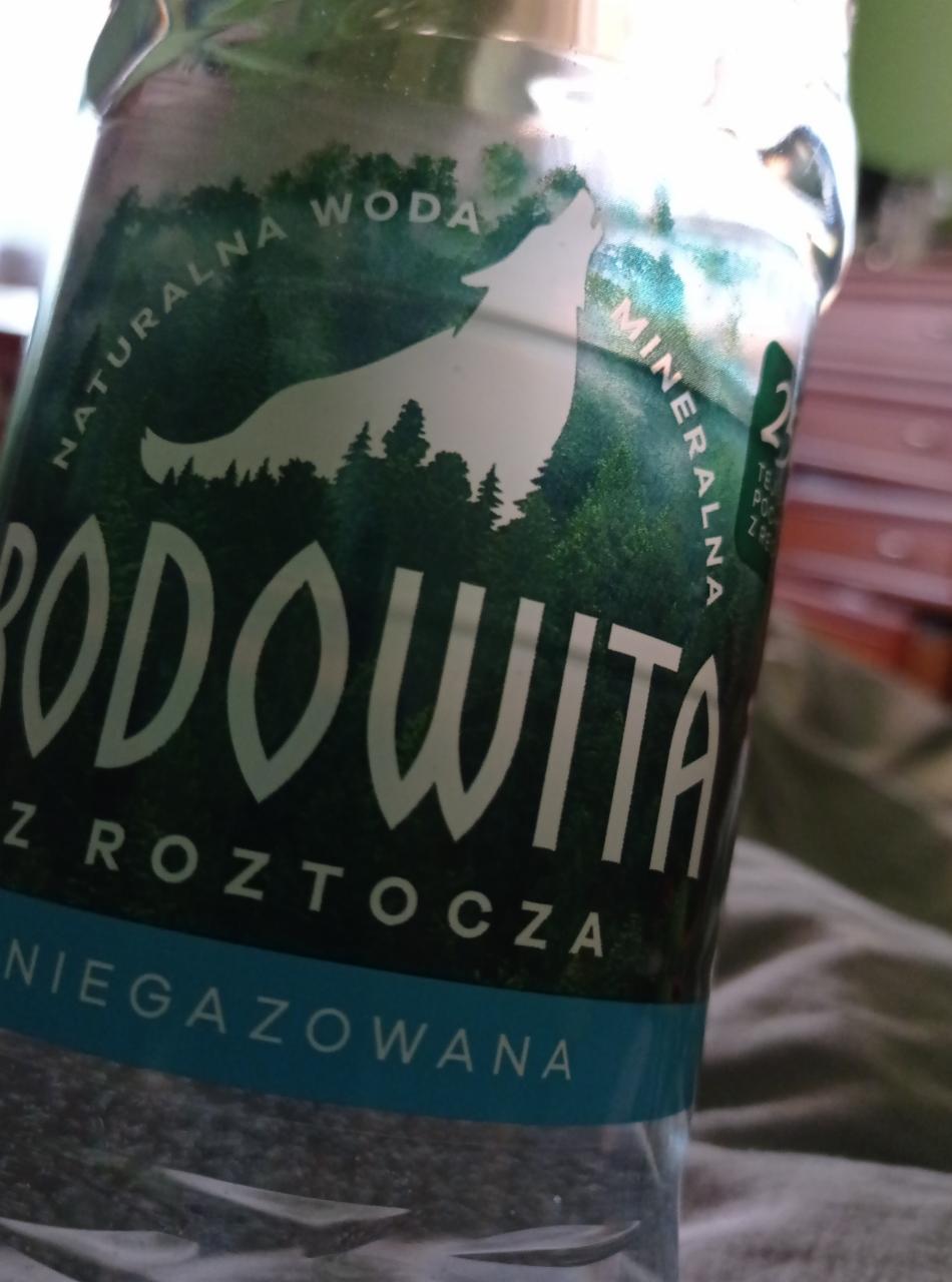 Zdjęcia - Naturalna woda mineralna niegazowana Rodowita