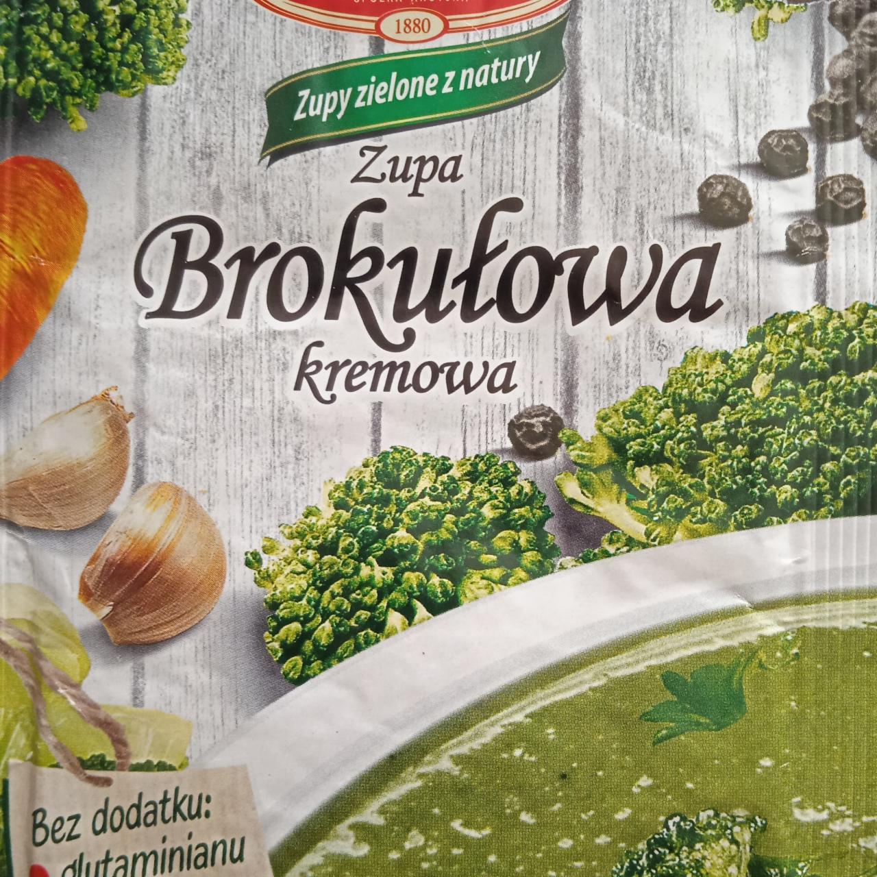 Zdjęcia - zupa brokułowa kremowa Cykoria