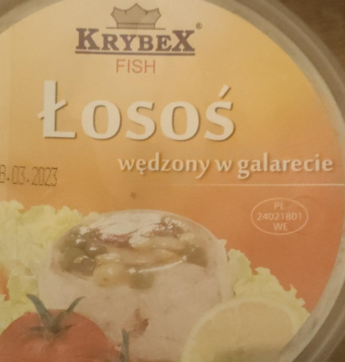 Zdjęcia - łosoś w galarecie Krybex