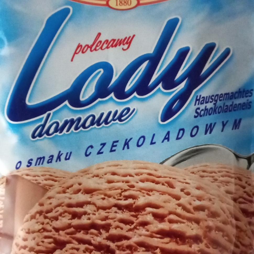 Zdjęcia - Cykoria Lody domowe o smaku czekoladowym 60 g