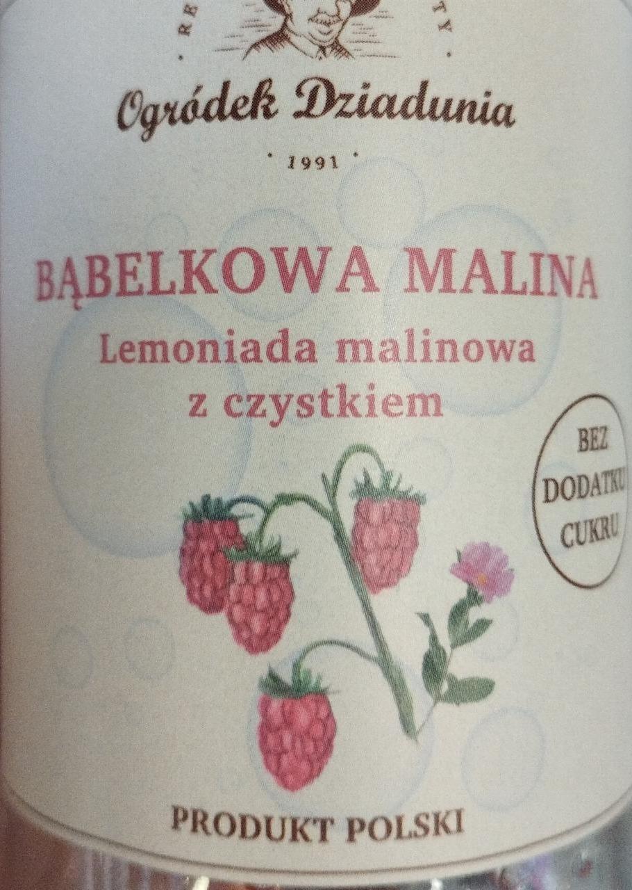 Zdjęcia - Bąbelkowa Lemoniada malinowa z czystkiem Ogródek dziadunia