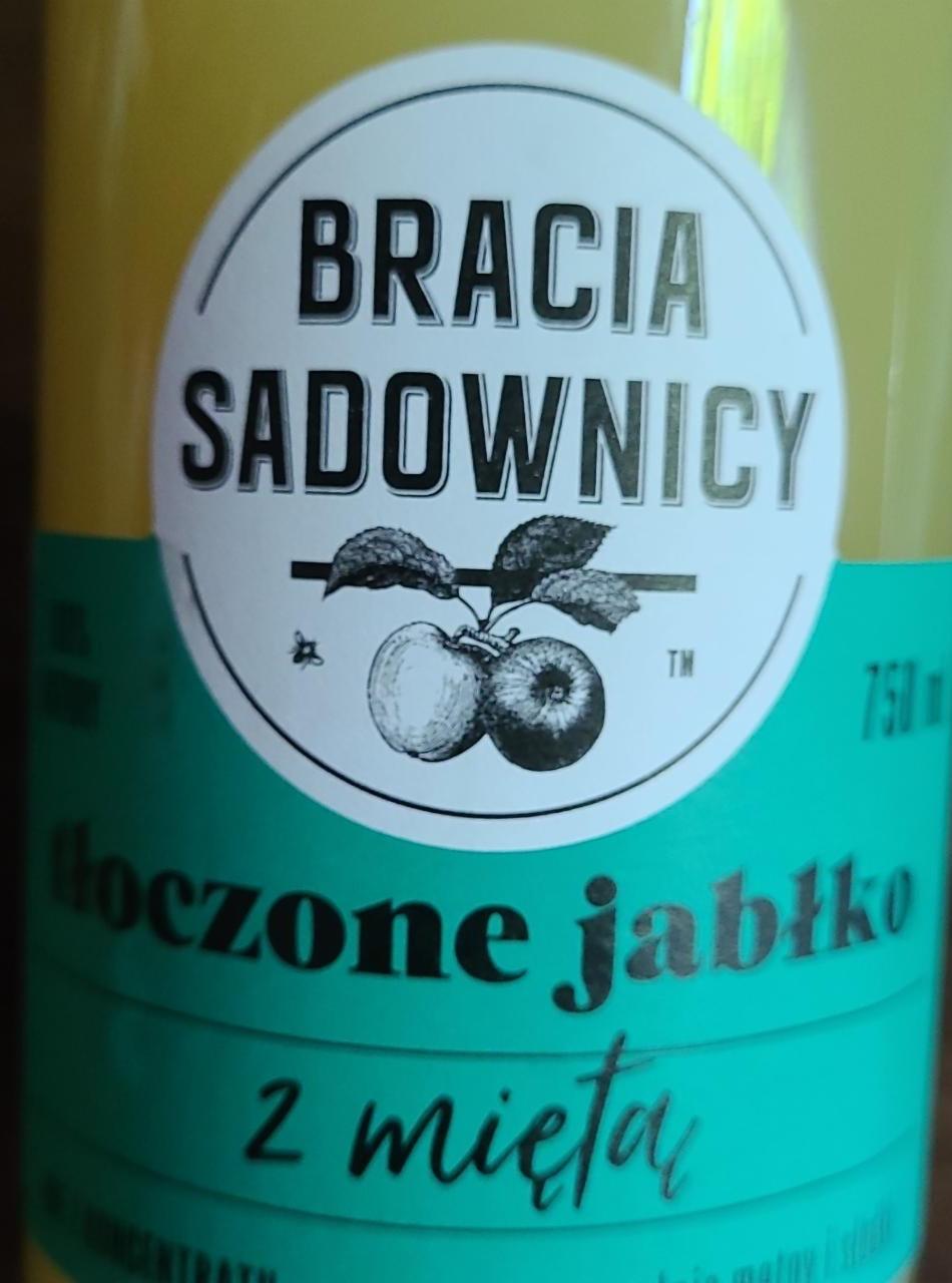 Zdjęcia - Tłoczone jabłko z miętą Bracia Sadownicy