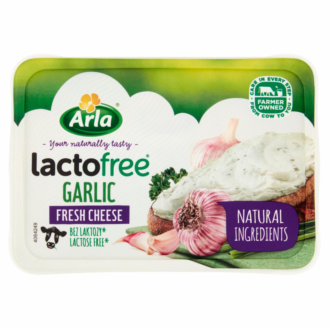 Zdjęcia - Arla Lactofree Serek kremowy bez laktozy z czosnkiem i przyprawami 150 g