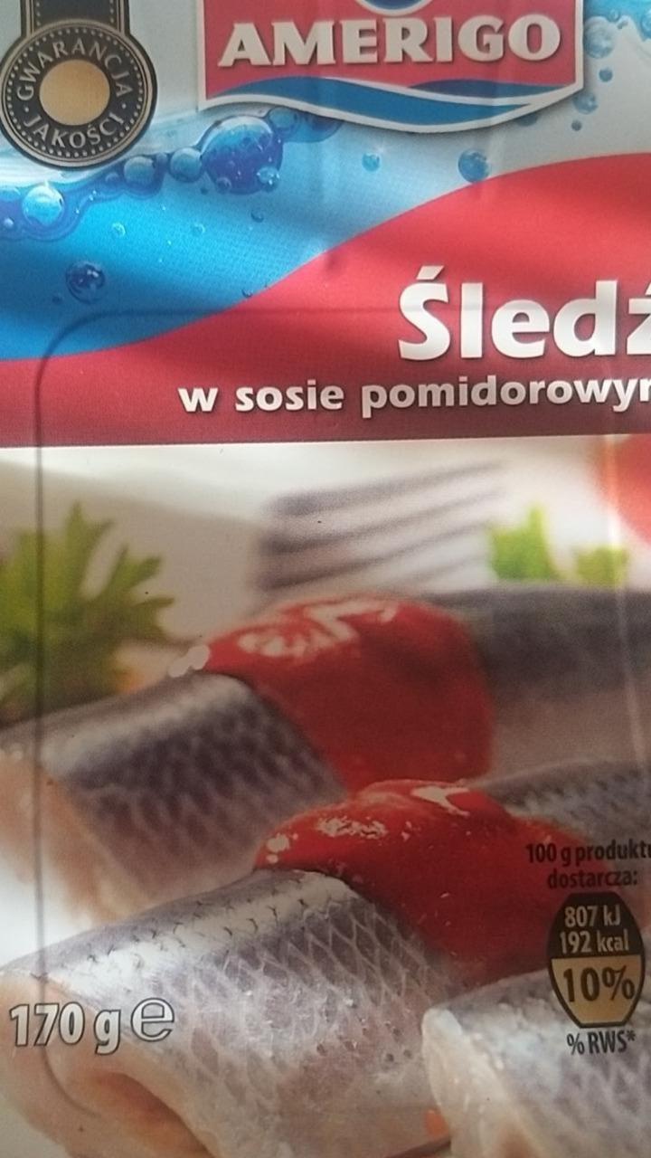 Zdjęcia - Amerigo Śledź w sosie pomidorowym