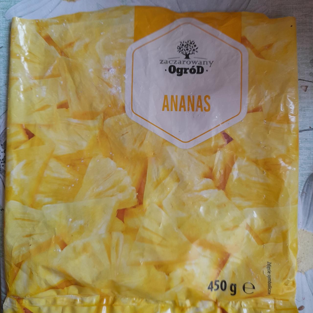 Zdjęcia - Ananas Zaczarowany Ogród