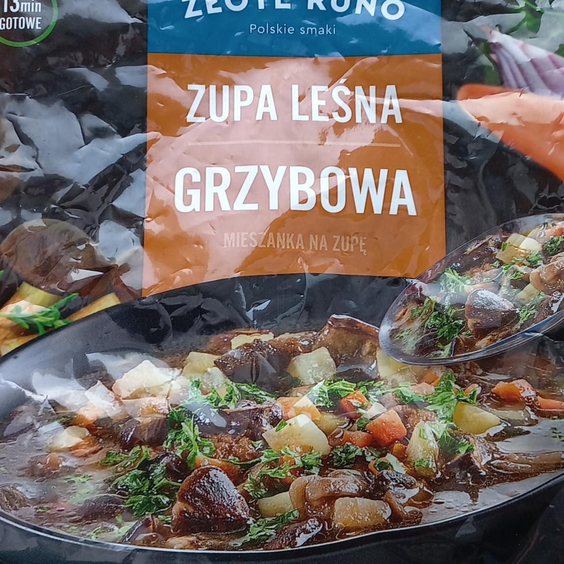 Zdjęcia - Zupa Leśna grzybowa Złote Runo