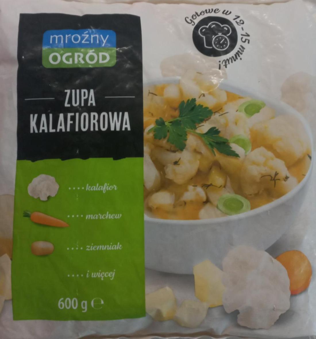 Zdjęcia - Zupa kalafiorowa Mroźny ogród