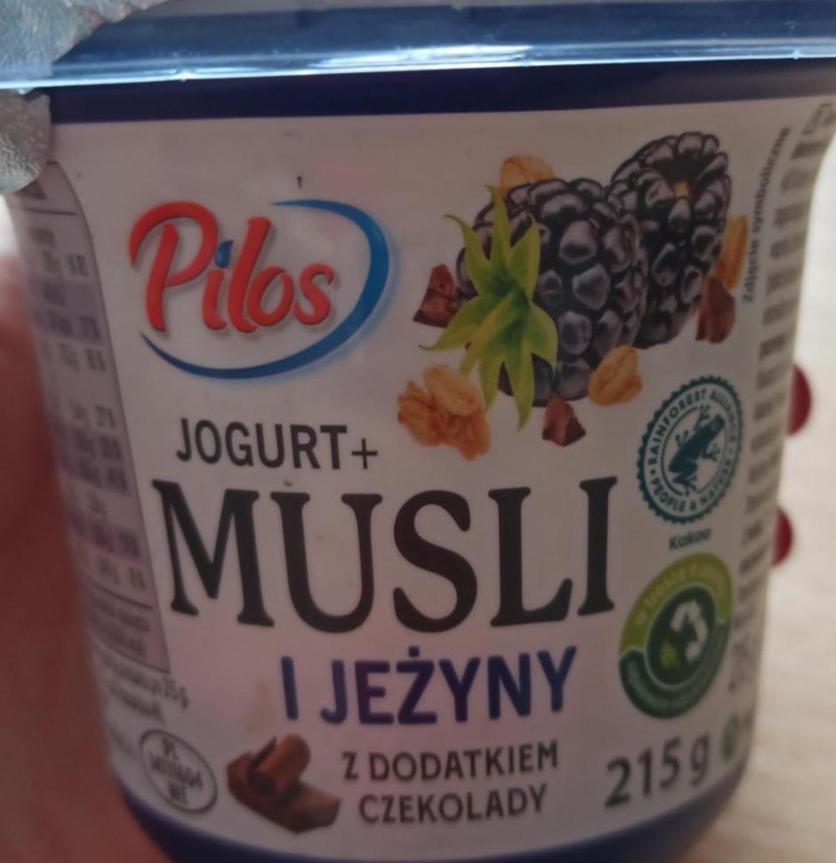 Zdjęcia - Jogurt z musli, jeżynami i dodatkiem czekolady Pilos