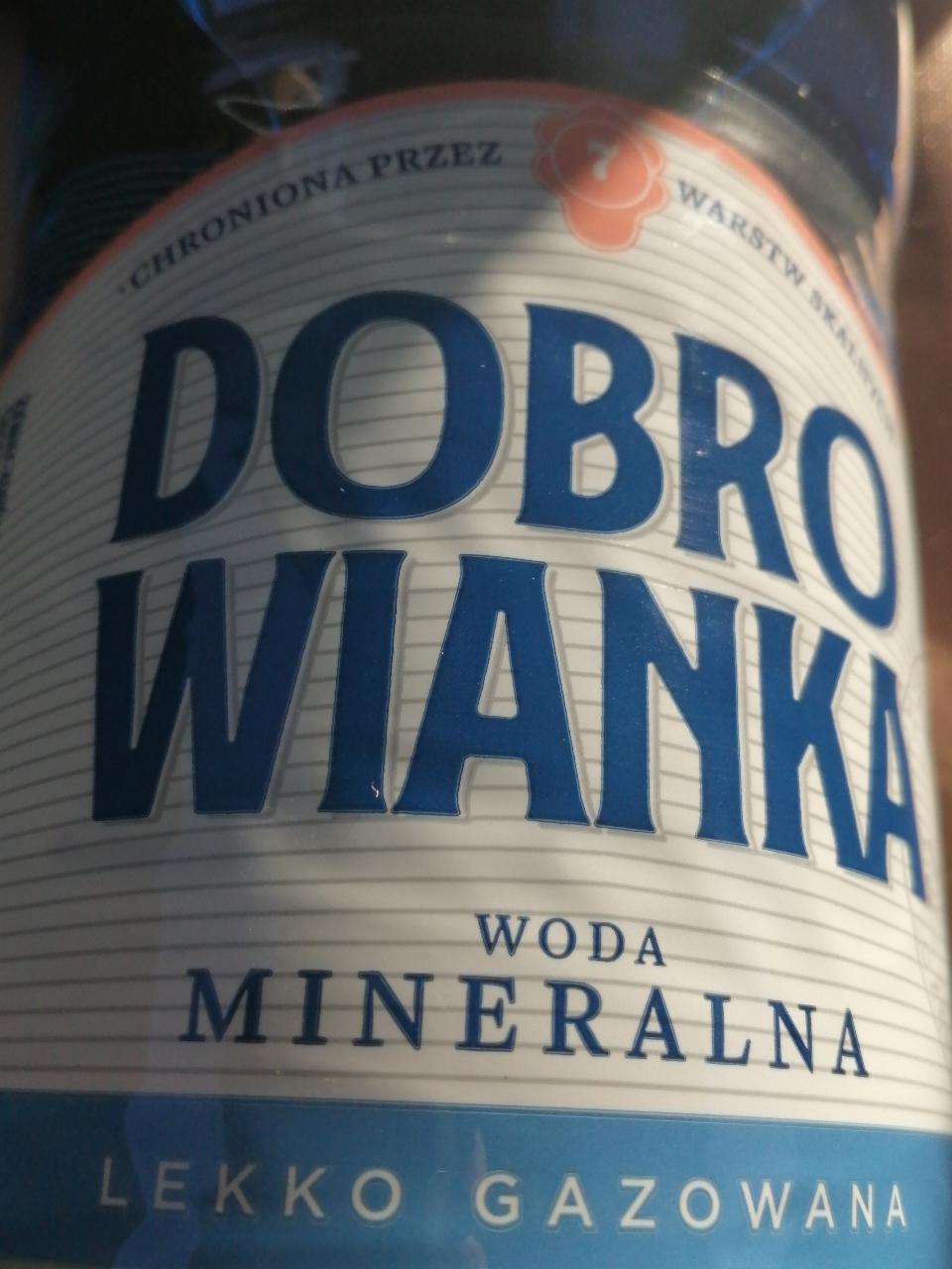 Zdjęcia - Dobrowianka Woda mineralna lekko gazowana