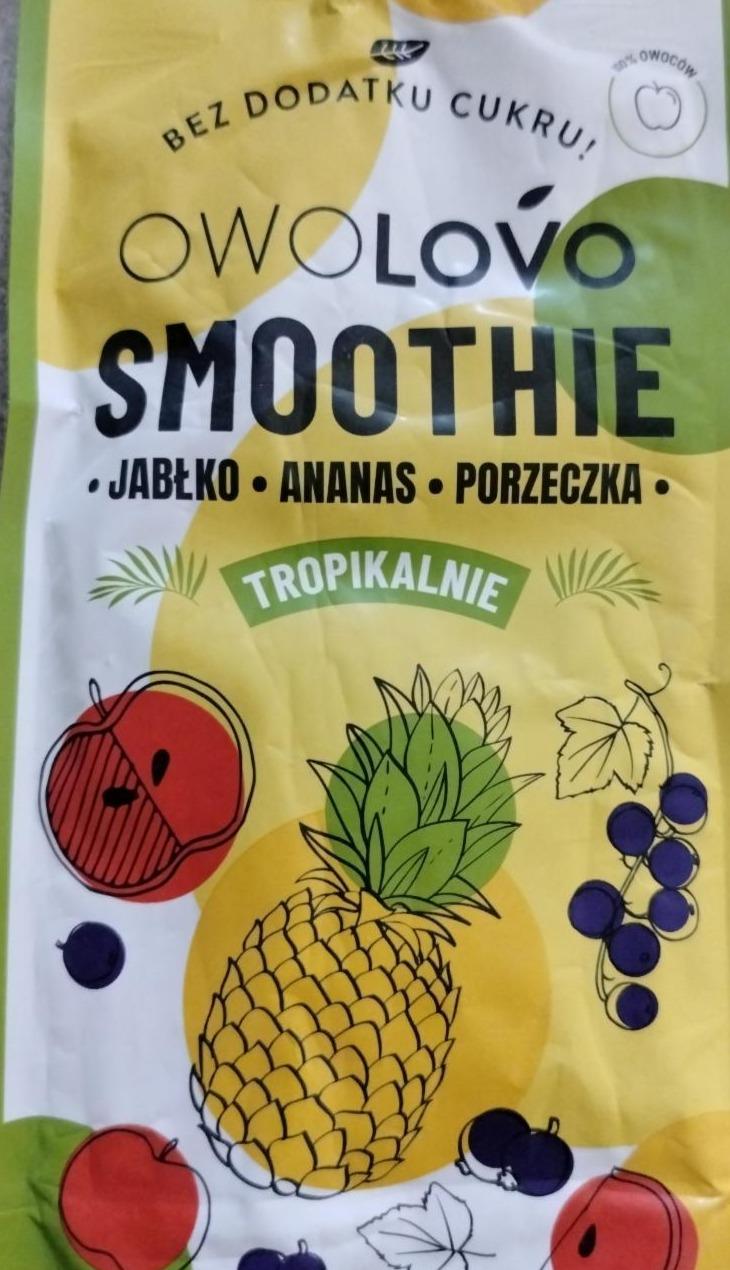 Zdjęcia - Smoothie jabłko ananas porzeczka tropikalnie Owolovo