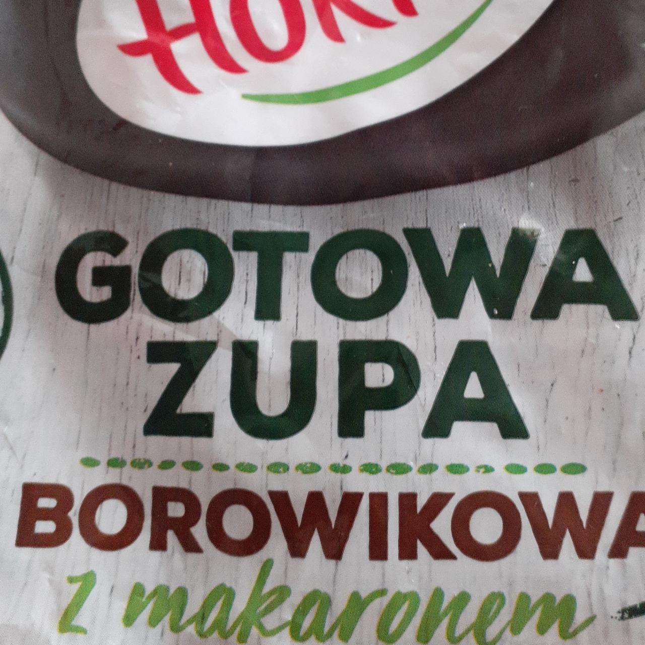 Zdjęcia - Hortex Gotowa zupa borowikowa z makaronem 350 g