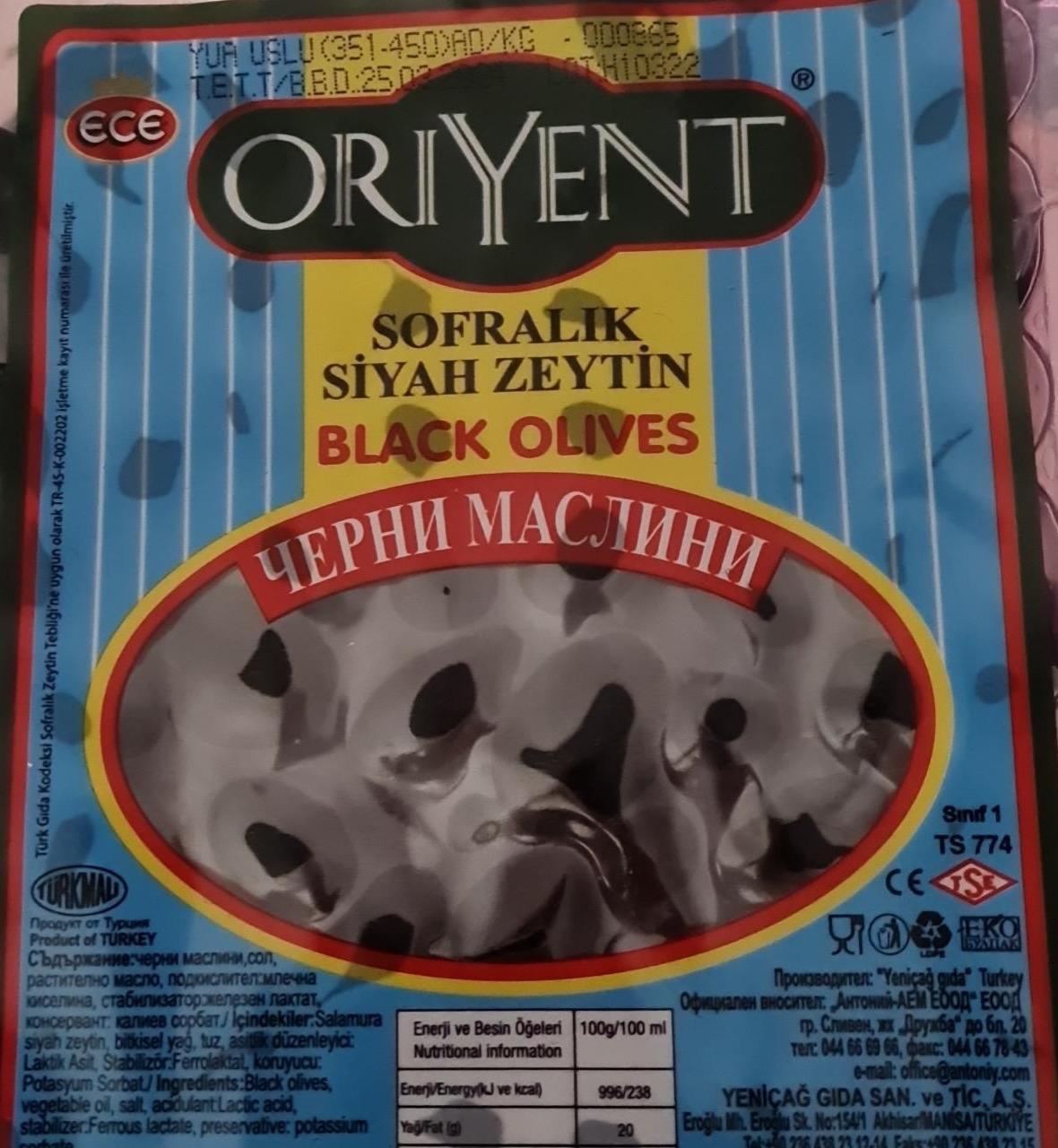 Zdjęcia - Black olives Oriyent