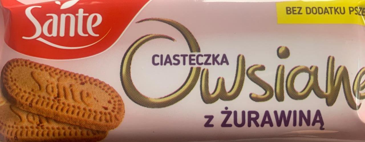 Zdjęcia - Ciastka Owsiane z Żurawiną Sante