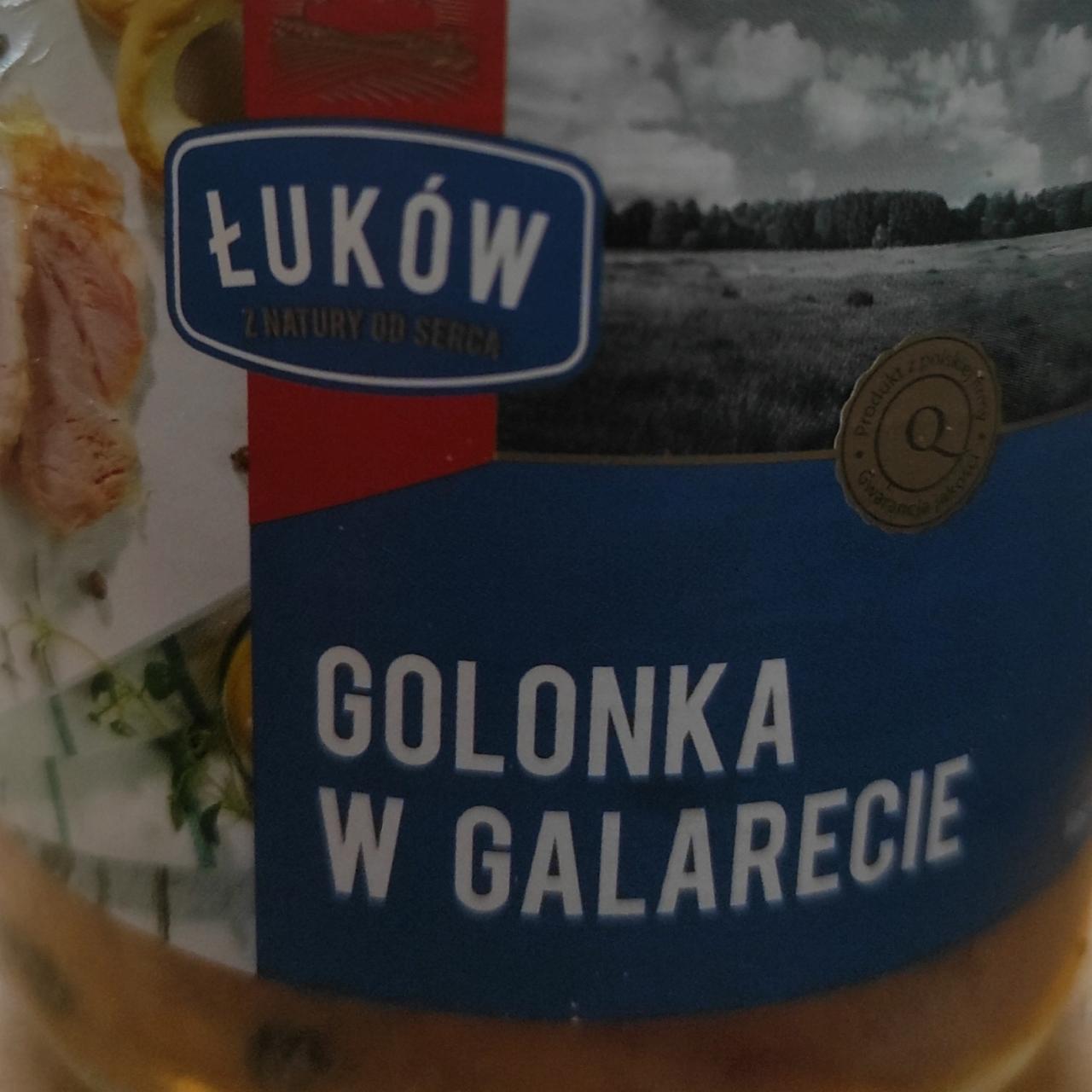 Zdjęcia - Golonka w Galarecie Łuków