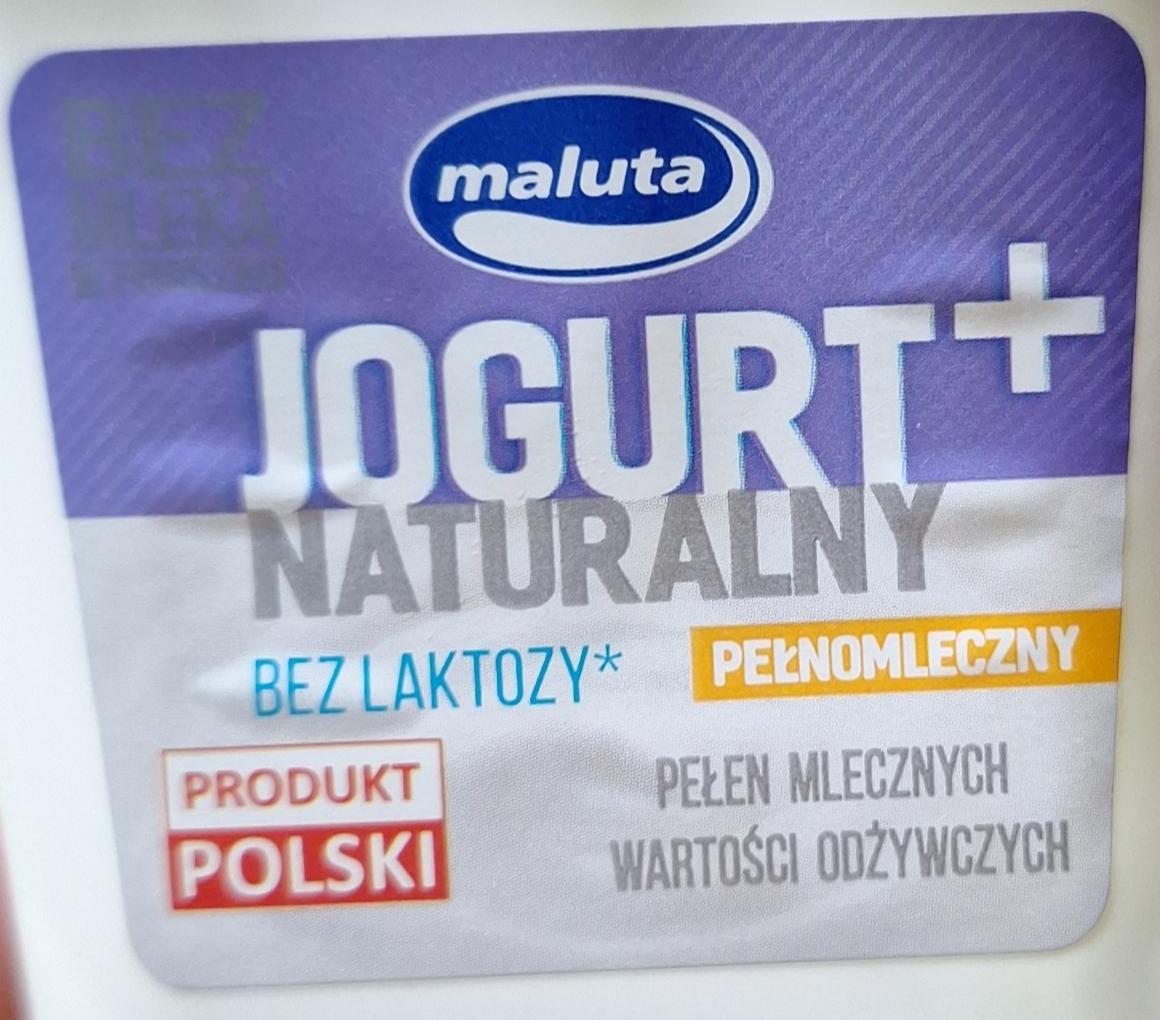 Zdjęcia - Jogurt naturalny pełnomleczny bez laktozy Maluta