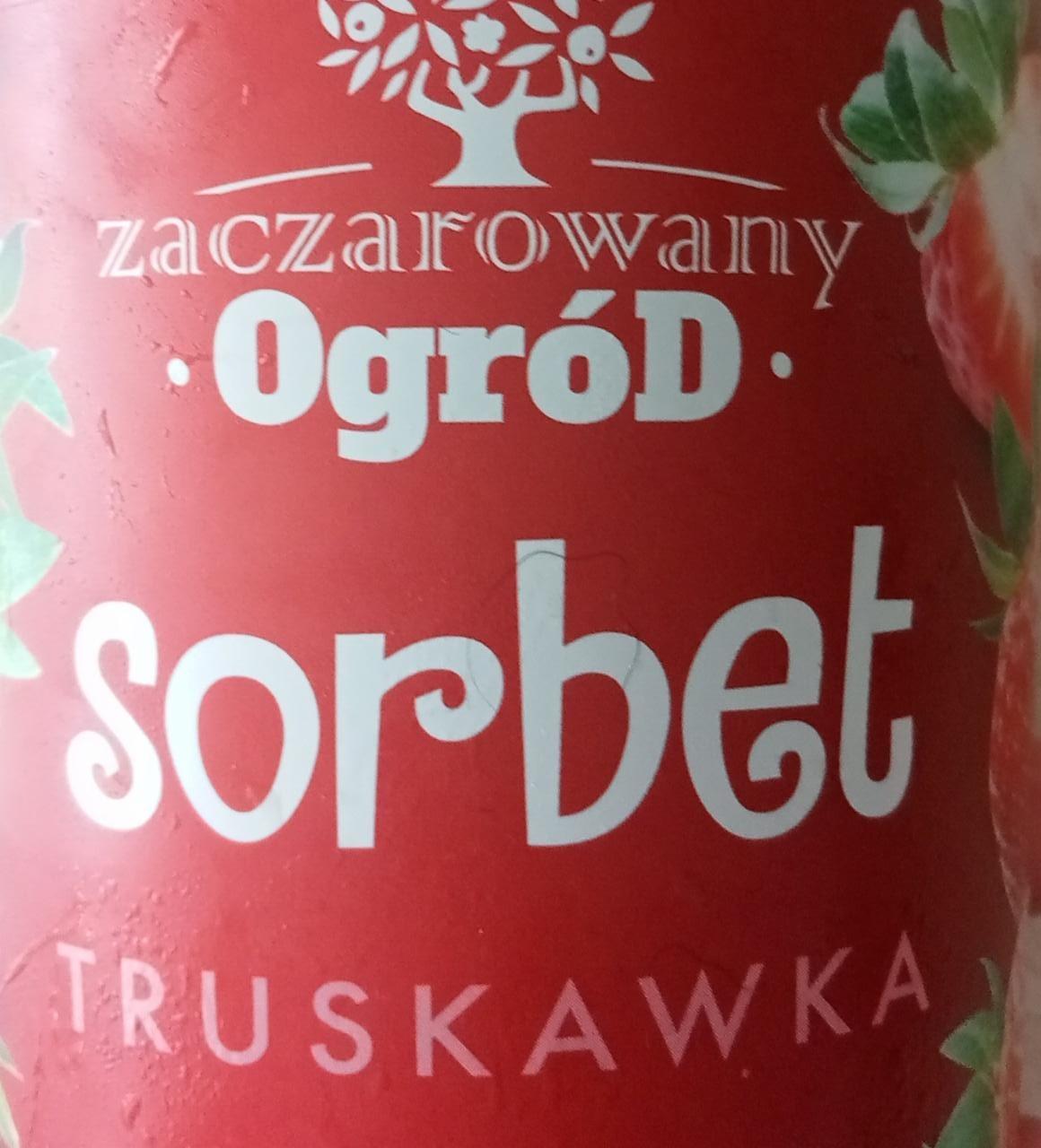 Zdjęcia - Sorbet truskawkowy Zaczarowany Ogród