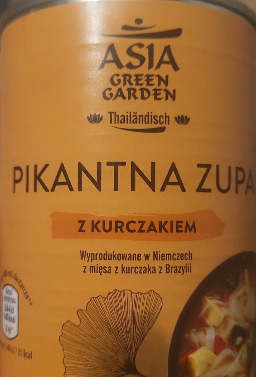 Zdjęcia - Pikantna zupa z kurczakiem Asia Green Garden