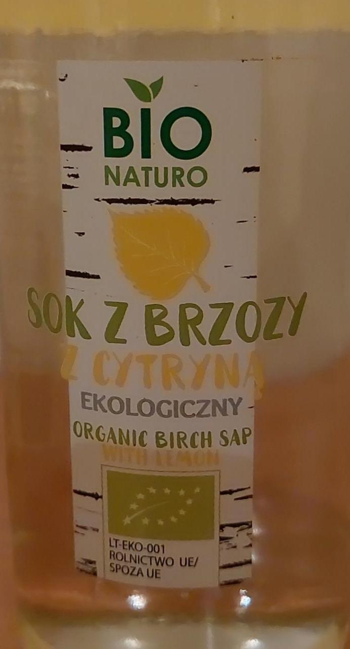 Zdjęcia - Sok z brzozy z cytryną BIO Naturo