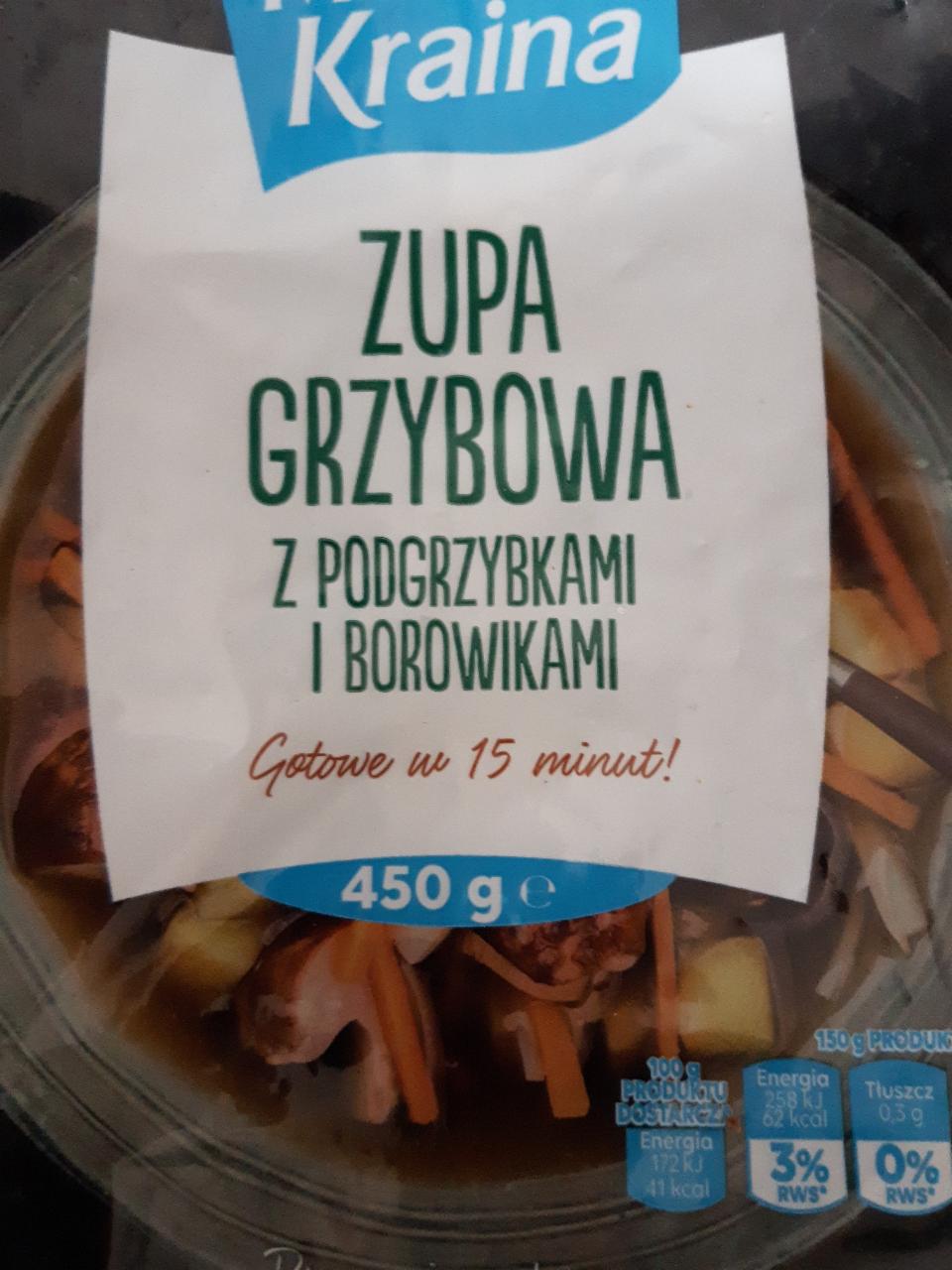 Zdjęcia - Zupa Grzybowa z Podgrzybkami i Borowikami Mroźna kraina