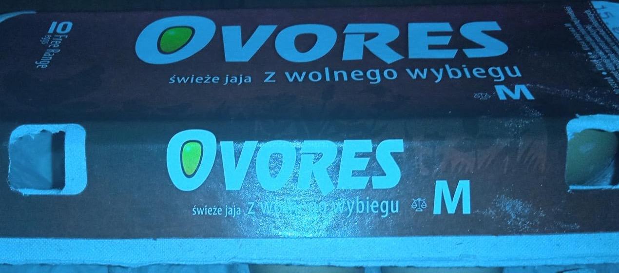 Zdjęcia - Świeże jaja z wolnego wybiegu Ovores