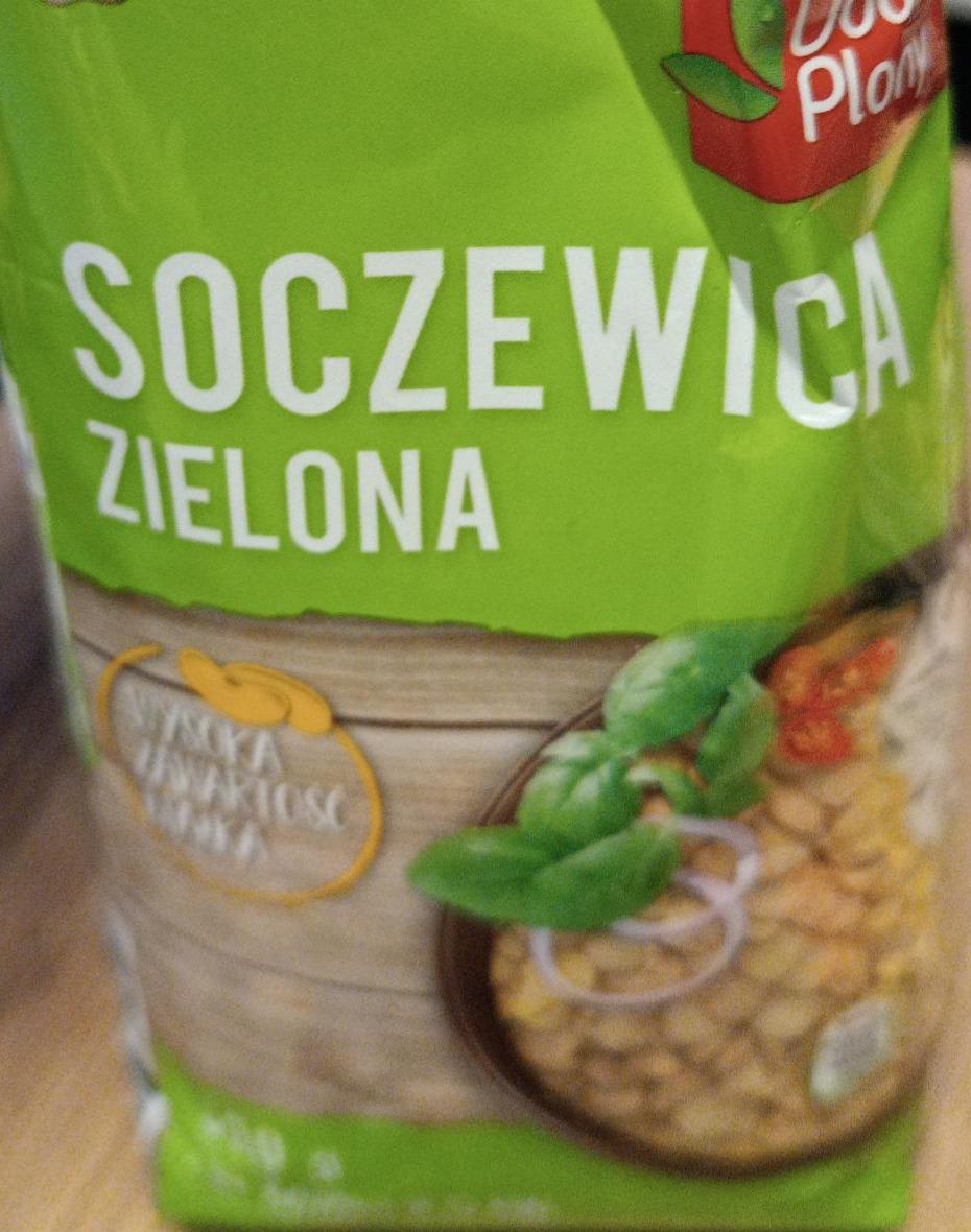 Zdjęcia - Soczewica Zielona Dobre Plony