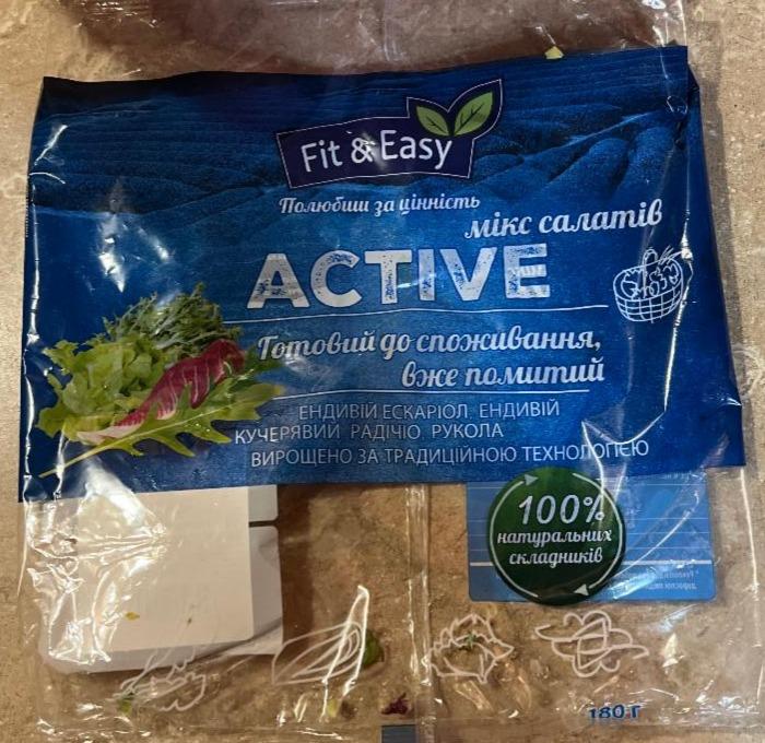 Zdjęcia - Fit & Easy Active Mix sałat 180 g