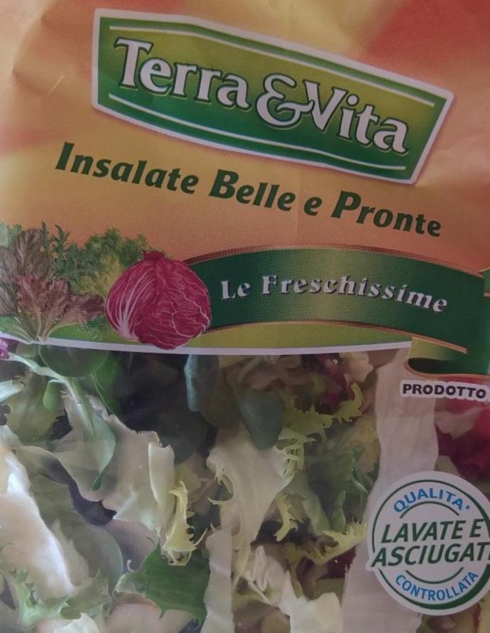 Zdjęcia - terra&Vita insalate belle e pronte le freschissime