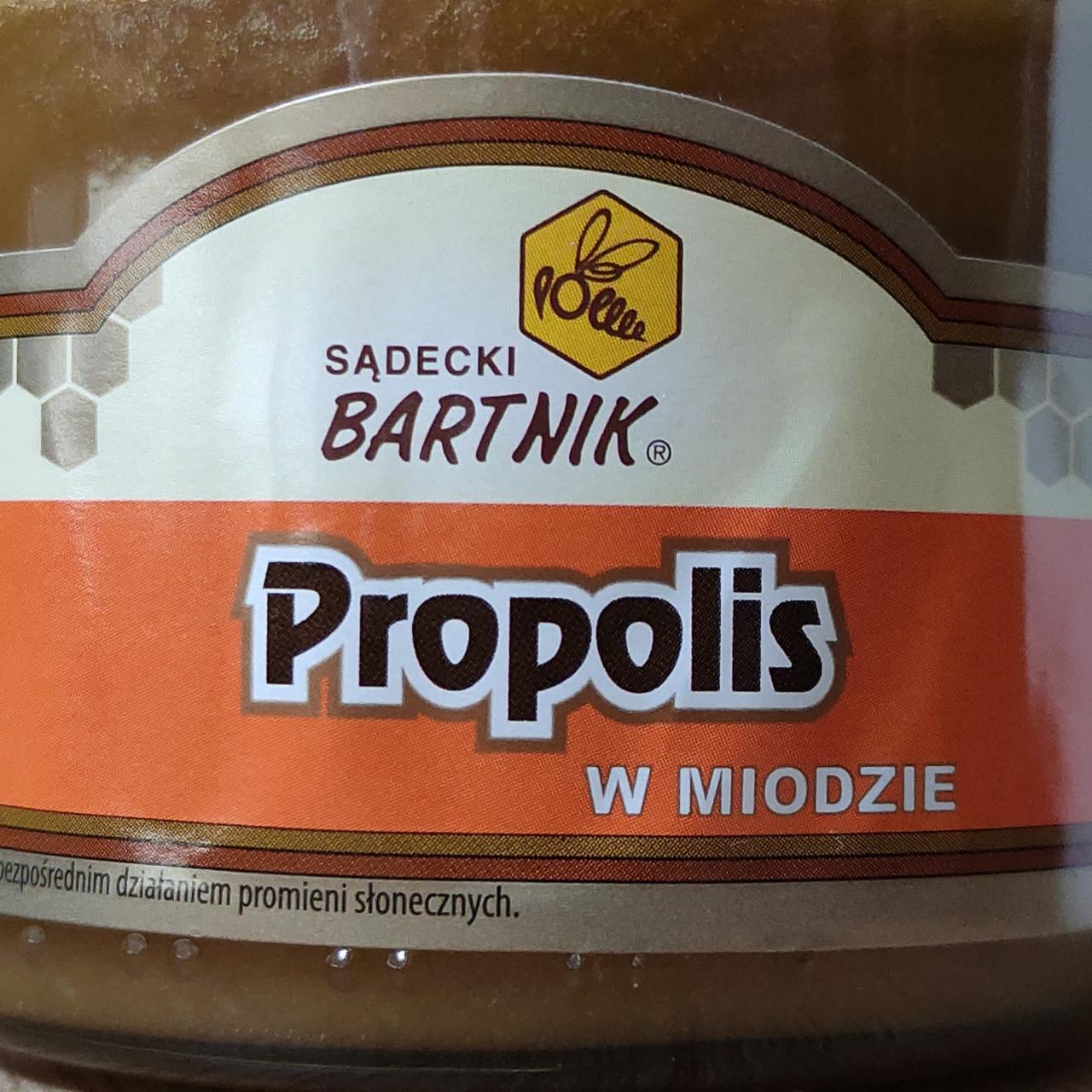 Zdjęcia - Propolis w miodzie Sądecki Bartnik