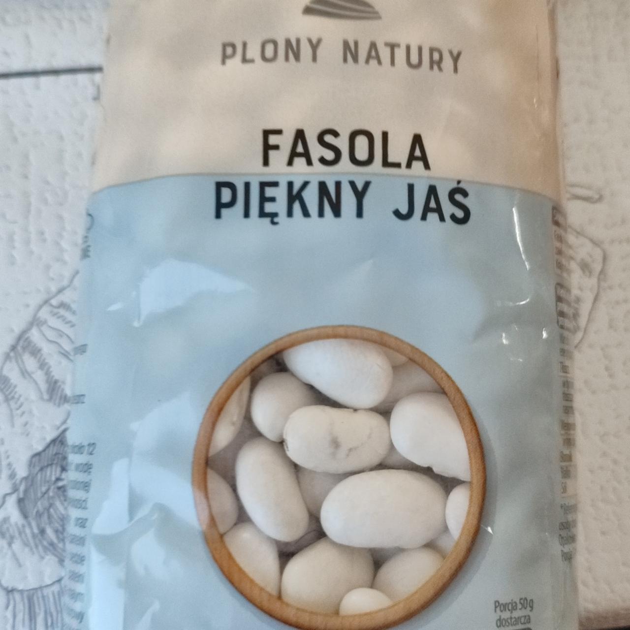 Zdjęcia - Fasola piękny jaś plony natury