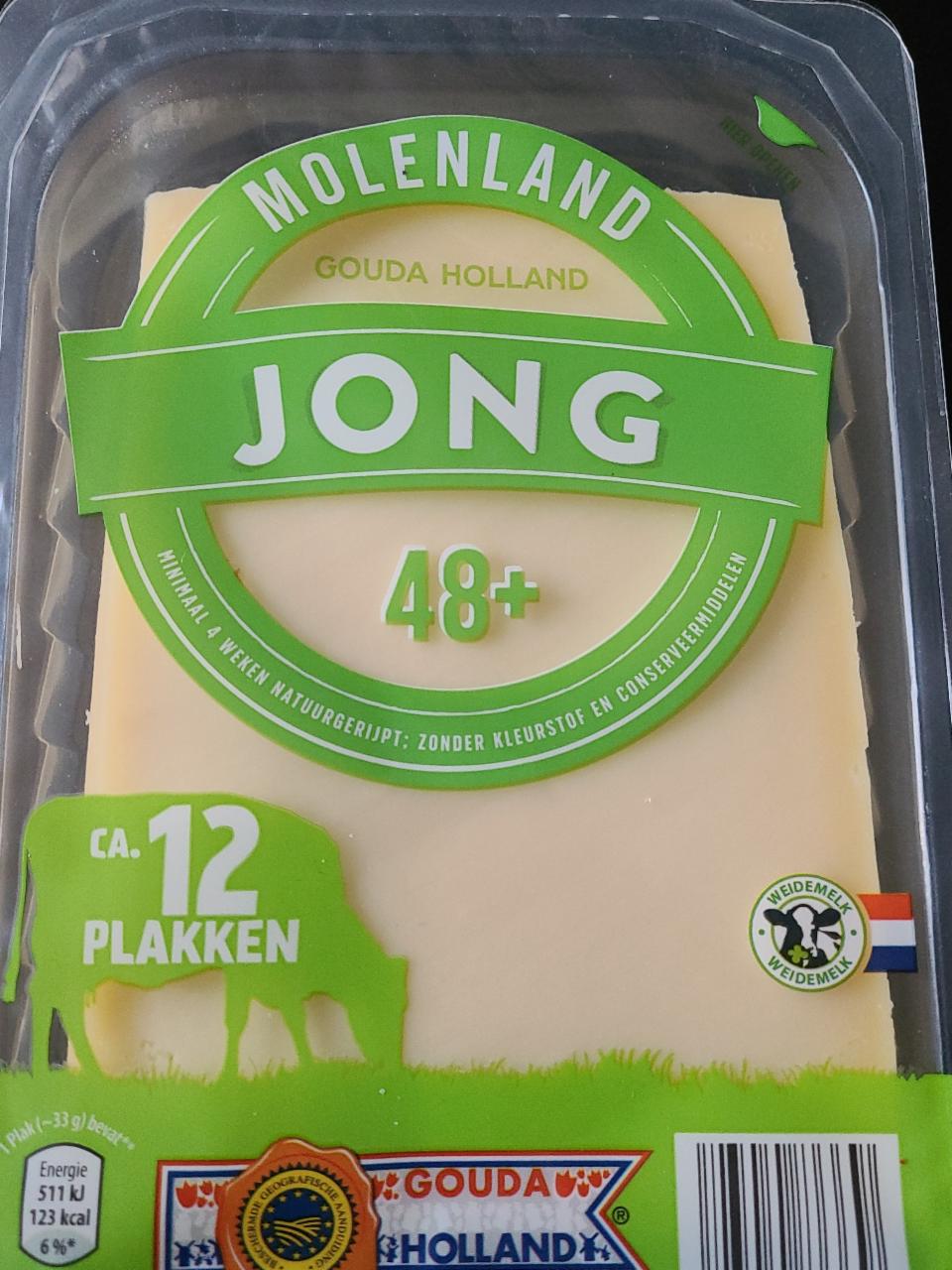 Zdjęcia - gouda holland molenland jong