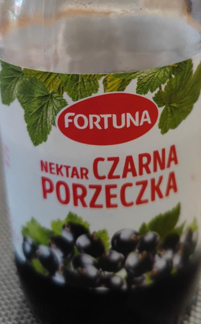 Zdjęcia - Nektar czarna porzeczka Fortuna