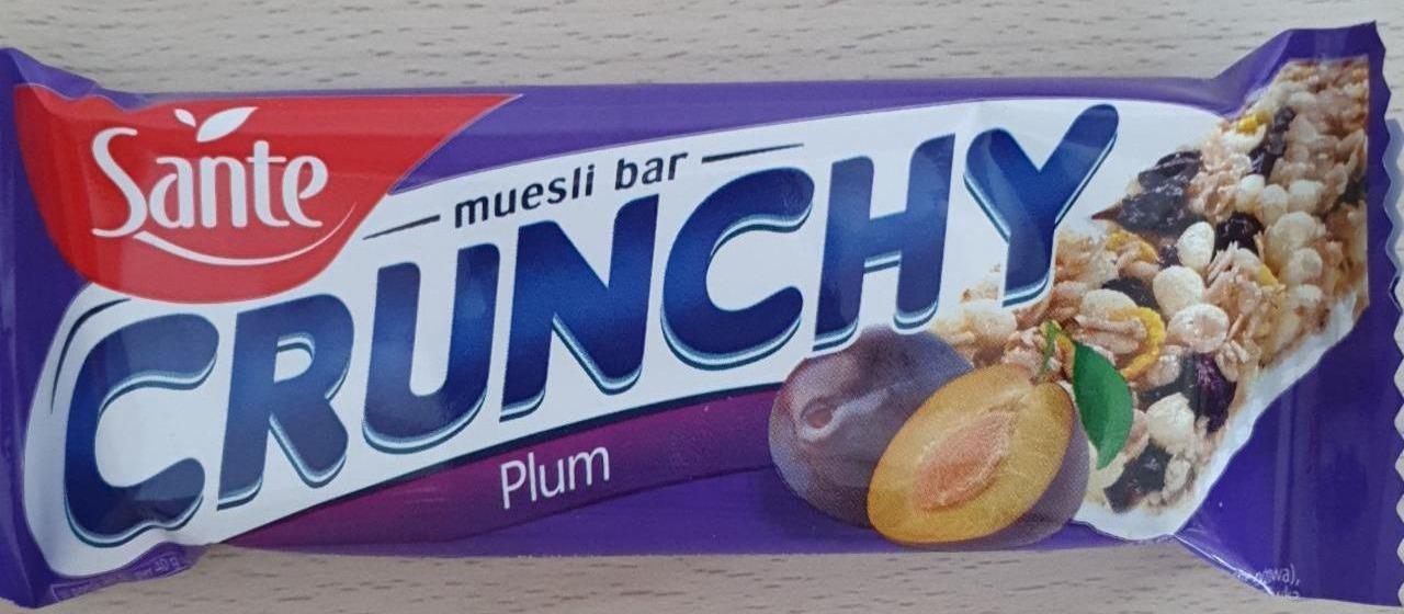 Zdjęcia - Crunchy muesli bar Plum Sante