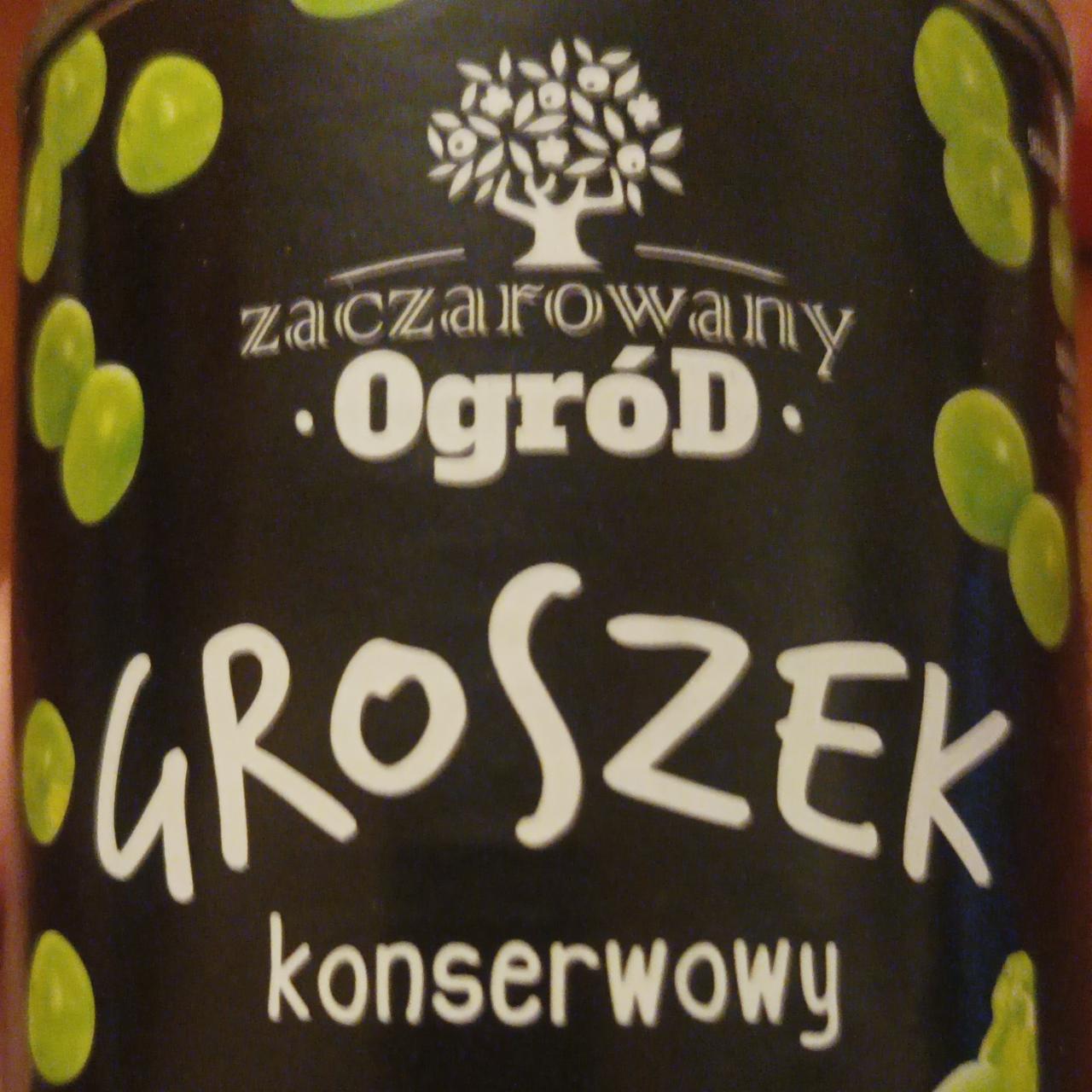 Zdjęcia - Groszek Konserwowy Zaczarowany Ogród