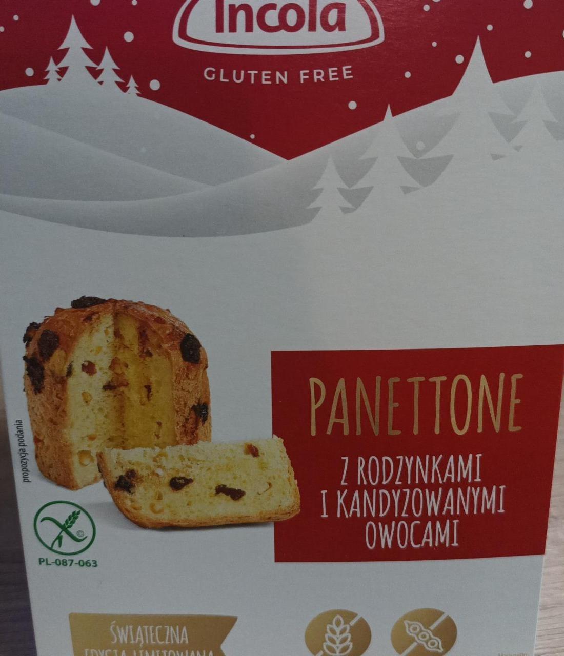 Zdjęcia - Bezglutenowe Panettone z rodzynkami i kandyzowanymi owocami Incola