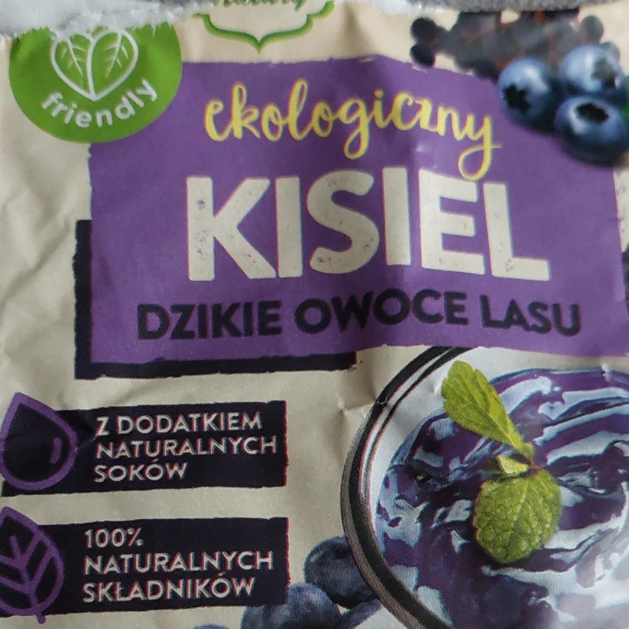 Zdjęcia - ekologiczny kisiel dzikie owoce lasu