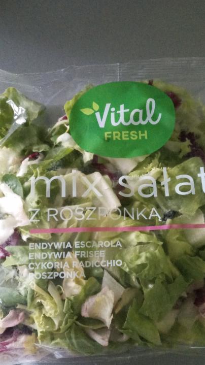 Zdjęcia - Mix salat z roszponką Vital fresh