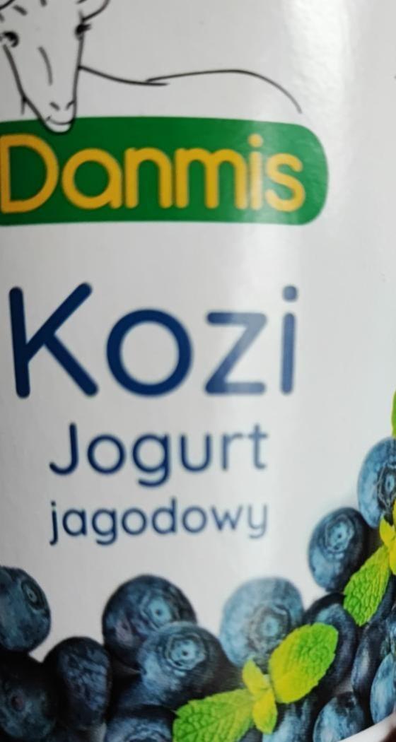 Zdjęcia - kozi jogurt jagodowy Danmis