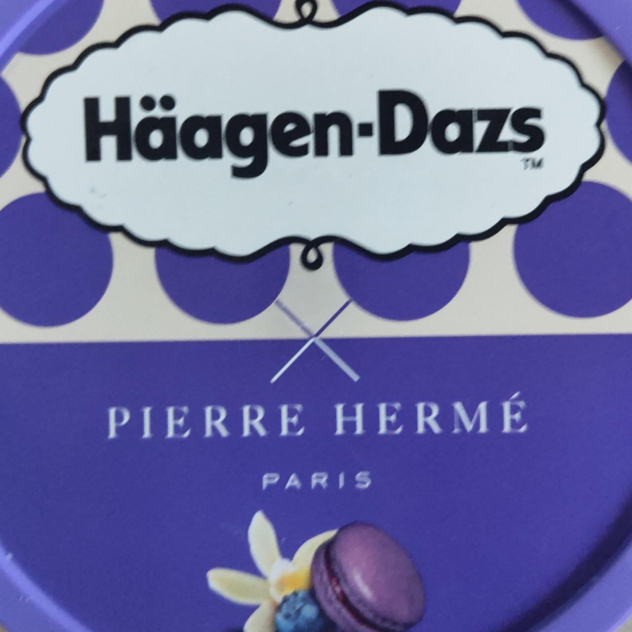 Zdjęcia - Pierre Herme Macaron vanilla & blueberry Häagen-Dazs