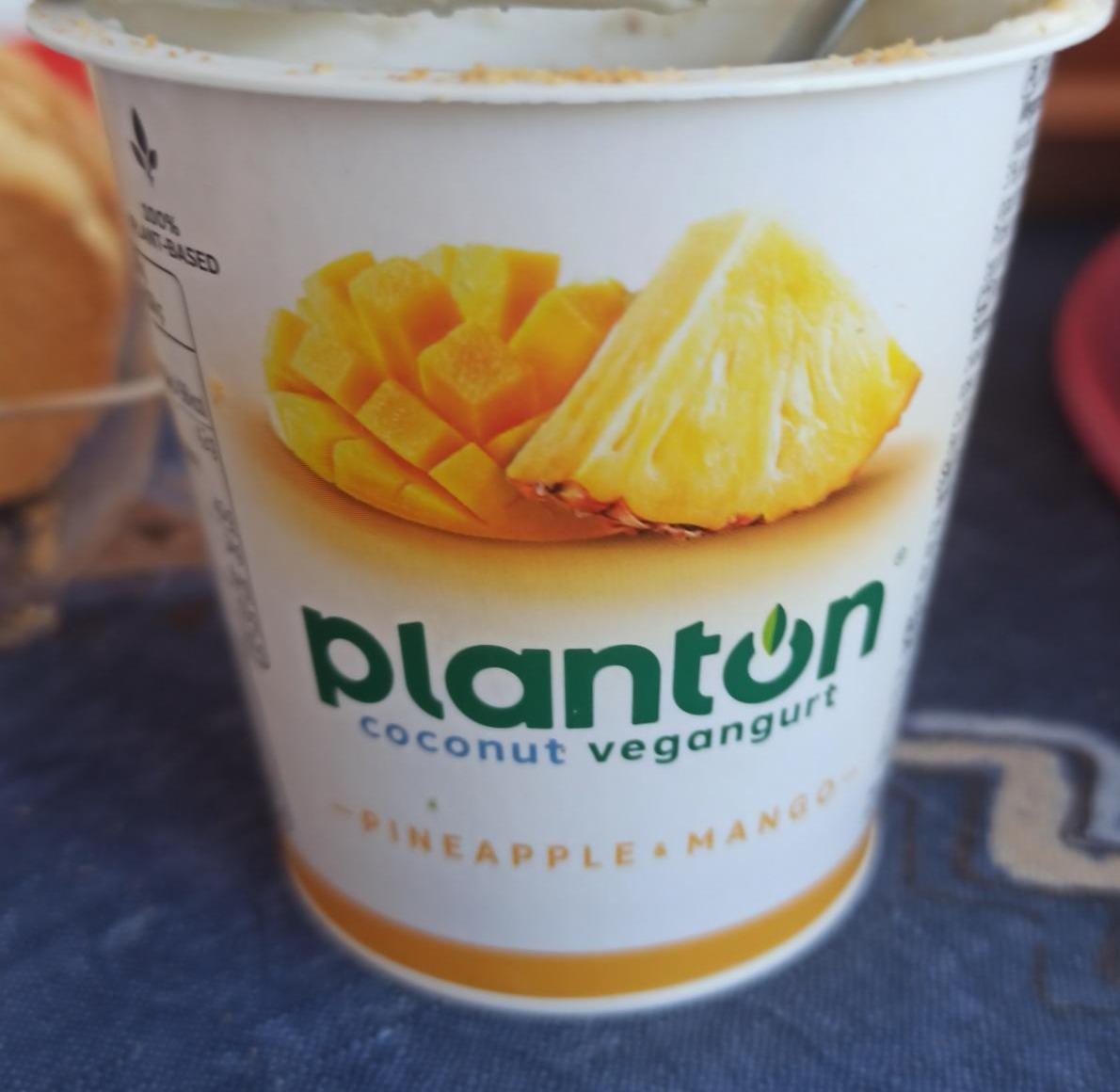 Zdjęcia - Pineapple & Mango Coconut Coconut Vegangurt Planton