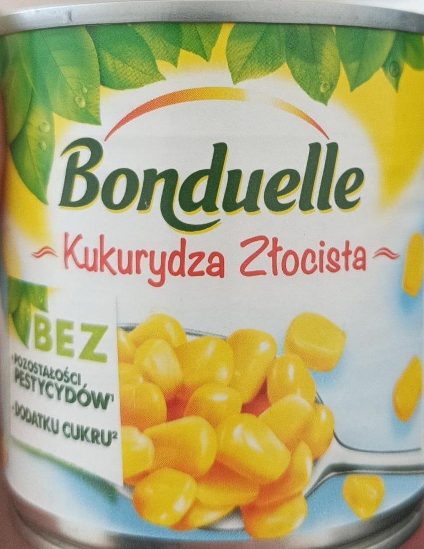 Zdjęcia - Bonduelki Kukurydza Złocista Bonduelle