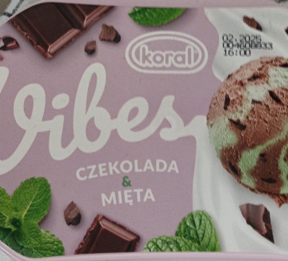 Zdjęcia - Koral Vibes Lody czekolada & mięta 1 l