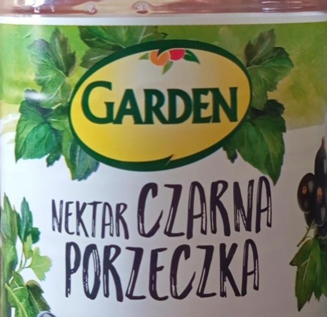 Zdjęcia - Nektar czarna porzeczka Garden