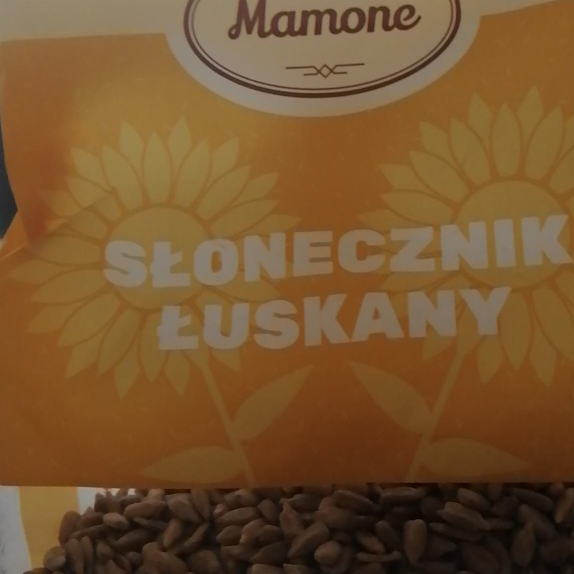 Zdjęcia - Slonecznik Mamone