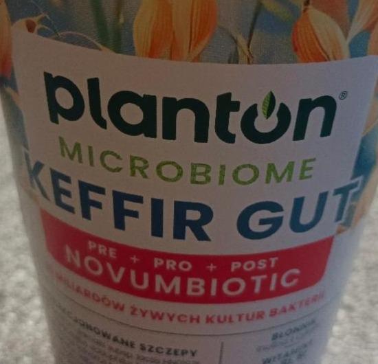 Zdjęcia - Microbiome keffir gut Plantón