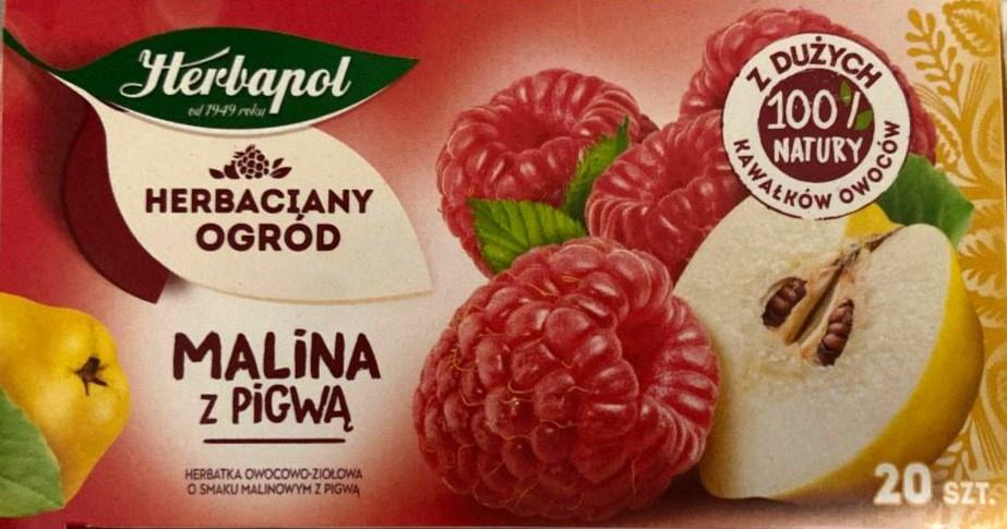 Zdjęcia - Herbapol Herbaciany Ogród Herbatka owocowo-ziołowa malina z pigwą 54 g (20 x 2,7 g)