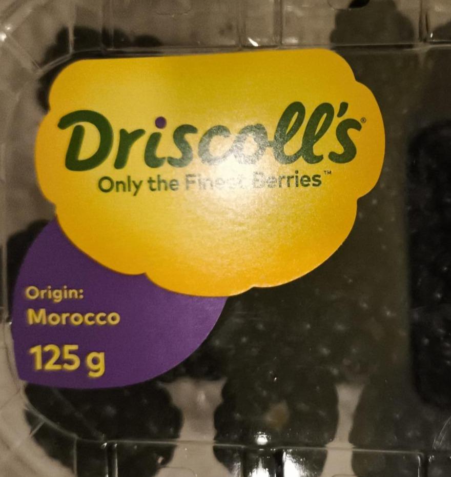 Zdjęcia - Jeżyny Driscoll's