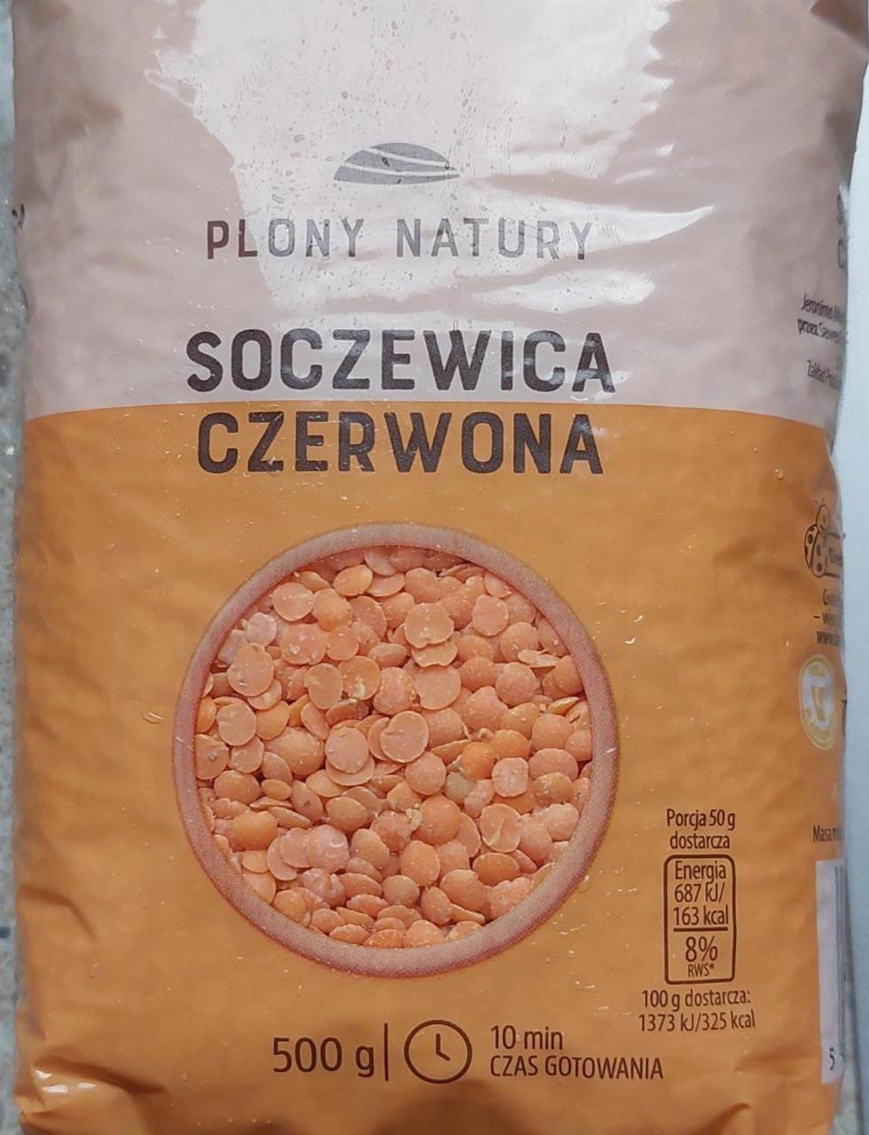 Zdjęcia - Soczewica czerwona Plony Natury