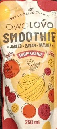 Zdjęcia - Smoothie jabłko banan malina Owolovo