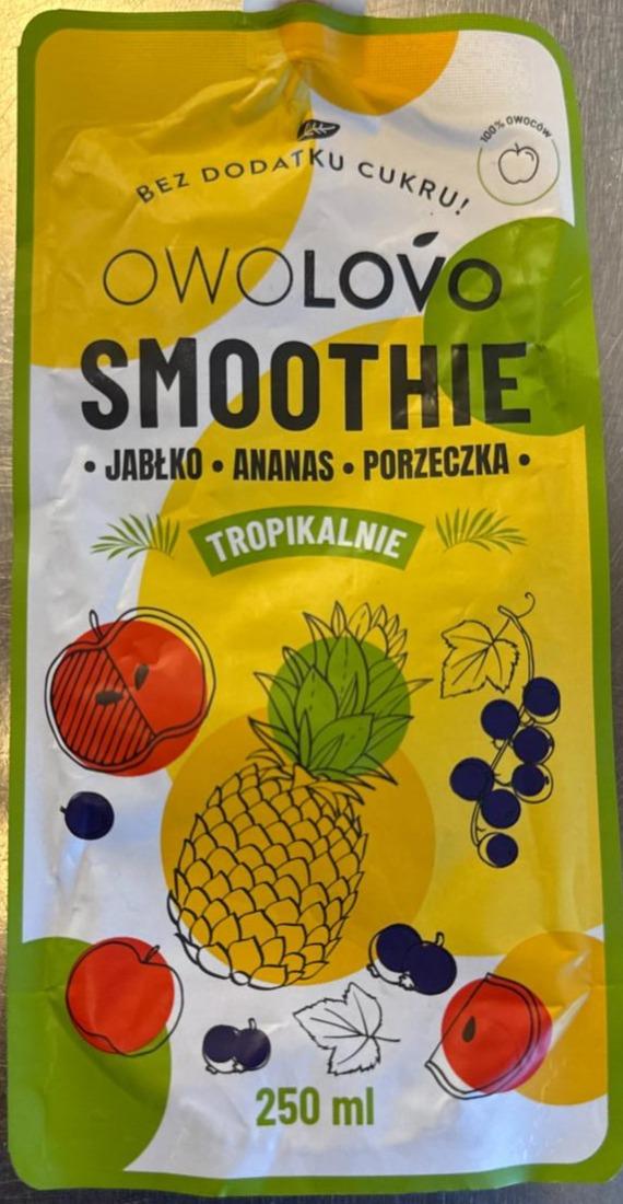 Zdjęcia - Smoothie jabłko ananas porzeczka tropikalnie Owolovo